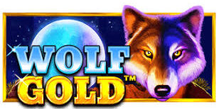 울프 골드(Wolf Gold)
