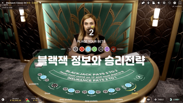 블랙잭 정보와 승리전략