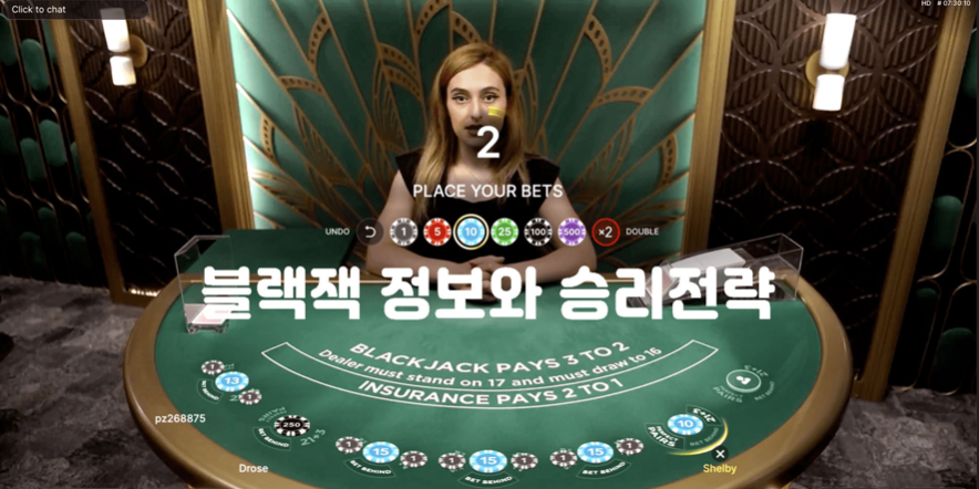 블랙잭 정보와 승리전략 블랙잭 정보와 승리전략