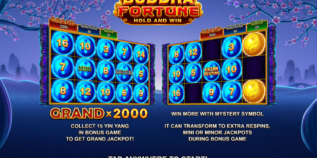 부다 포춘 (Buddha Fortune) 부다 포춘 (Buddha Fortune)