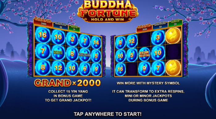 부다 포춘 (Buddha Fortune) 부다 포춘 (Buddha Fortune)