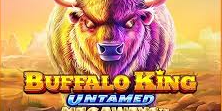 버팔로킹 언테임드 메가웨이즈 (Buffalo King Untamed Megaways)
