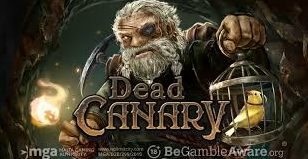 데드 카나리 (Dead Canary)