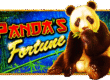 판다의 행운 (Panda's Fortune)
