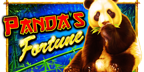 판다의 행운 (Panda's Fortune)