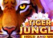 타이거 정글 (Tiger Jungle)